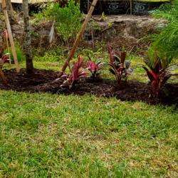 GreenTopps - Lawn Maintenance Services