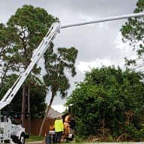 GreenTopps - Tree Removal Services
