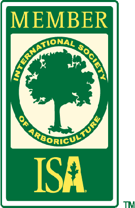 ISA Membership Logo