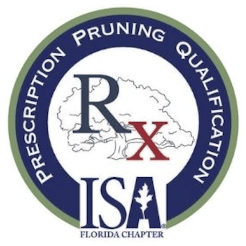 ISA Membership Logo